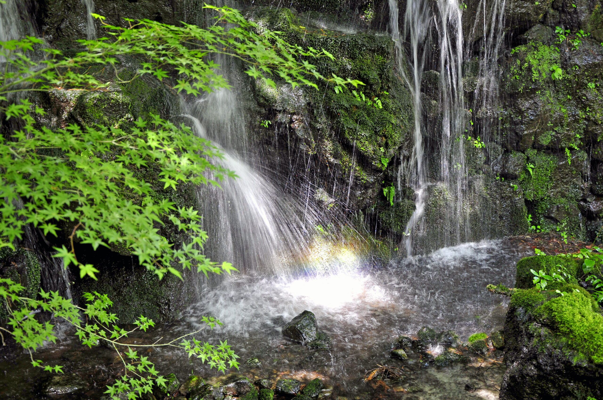 Itchiku Kubota Museum included in the Top 10 Places To Visit in Japan list by the Guardian